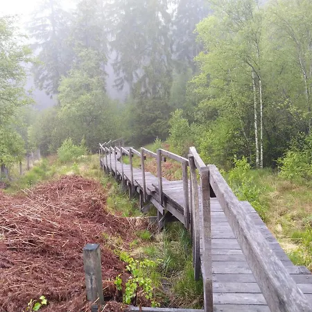 Des4seigneurs 게디네